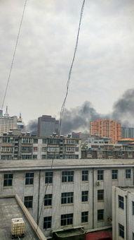 石家庄爆料赵县最新消息,石家庄爆料揭示最新发展情况